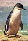 Study Canvas Paintings - Study Of A Penguin